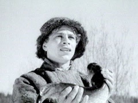 Полная энциклопедия советских киносказок: от былин до тёмного фэнтези